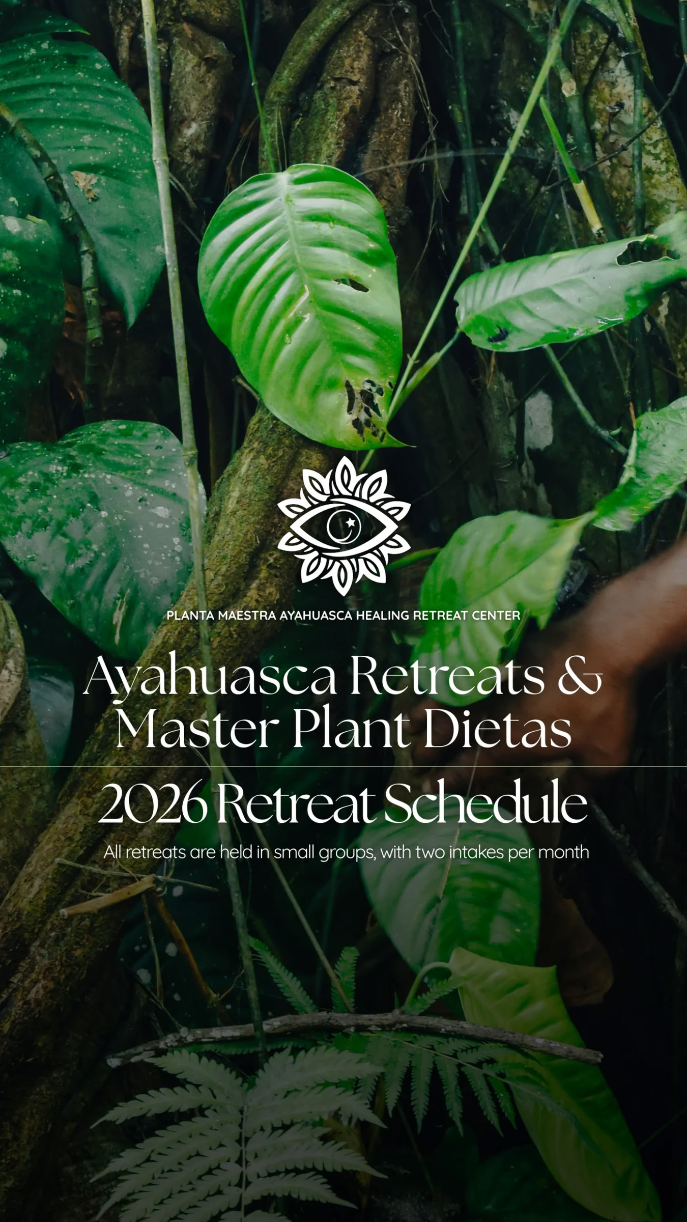 Voyage d’Ayahuasca de 10 jours + Diète de plantes maîtresses