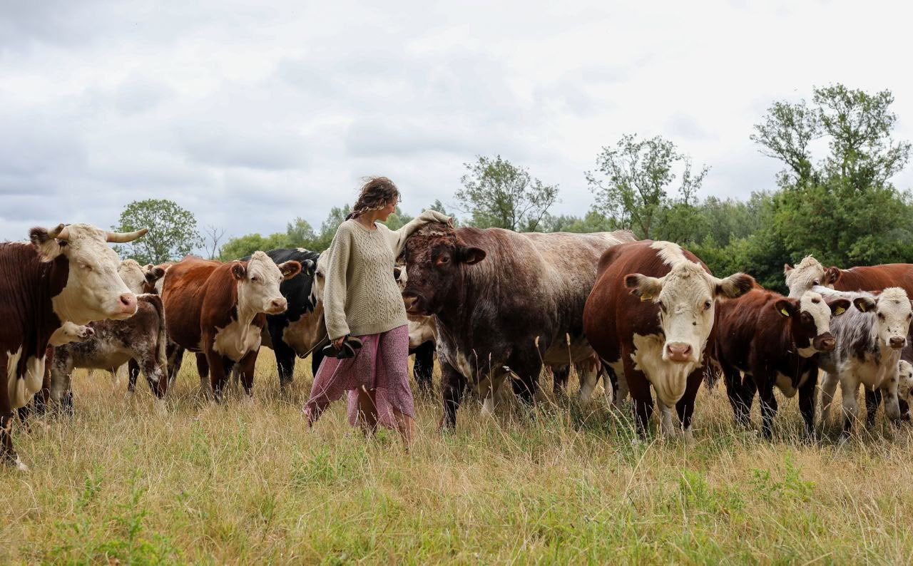 Retraite de yoga Natural Flow ༄ 2026