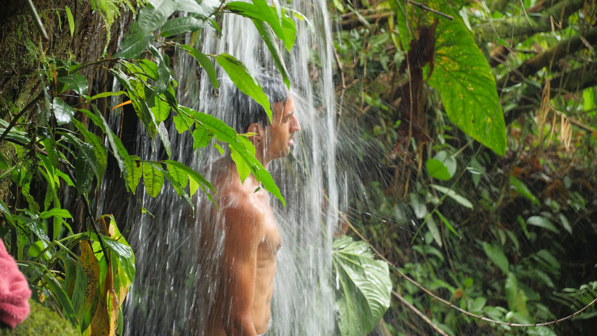 Ayahuasca & Voyage Somatique