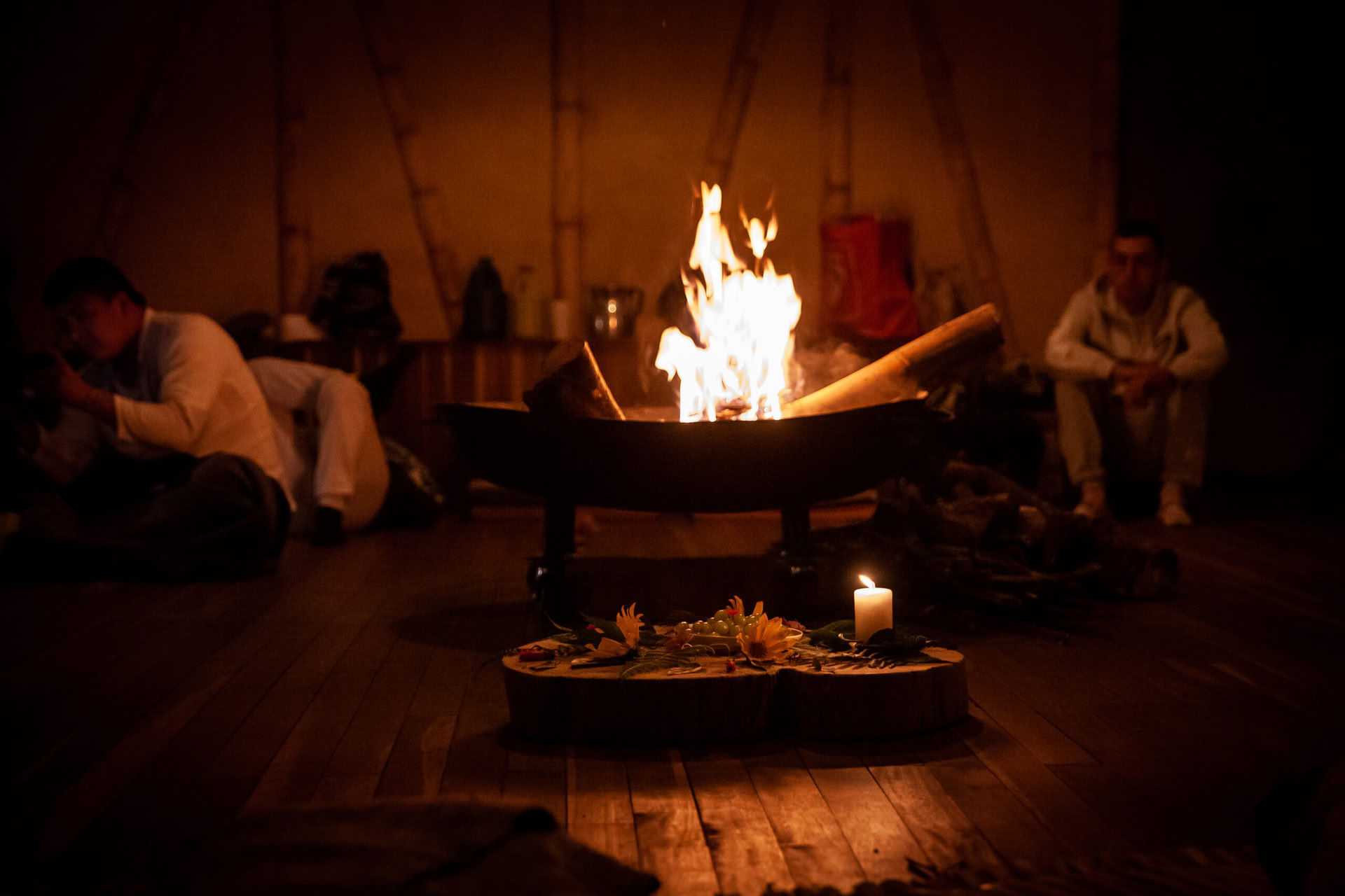 Ayahuasca & Voyage Somatique