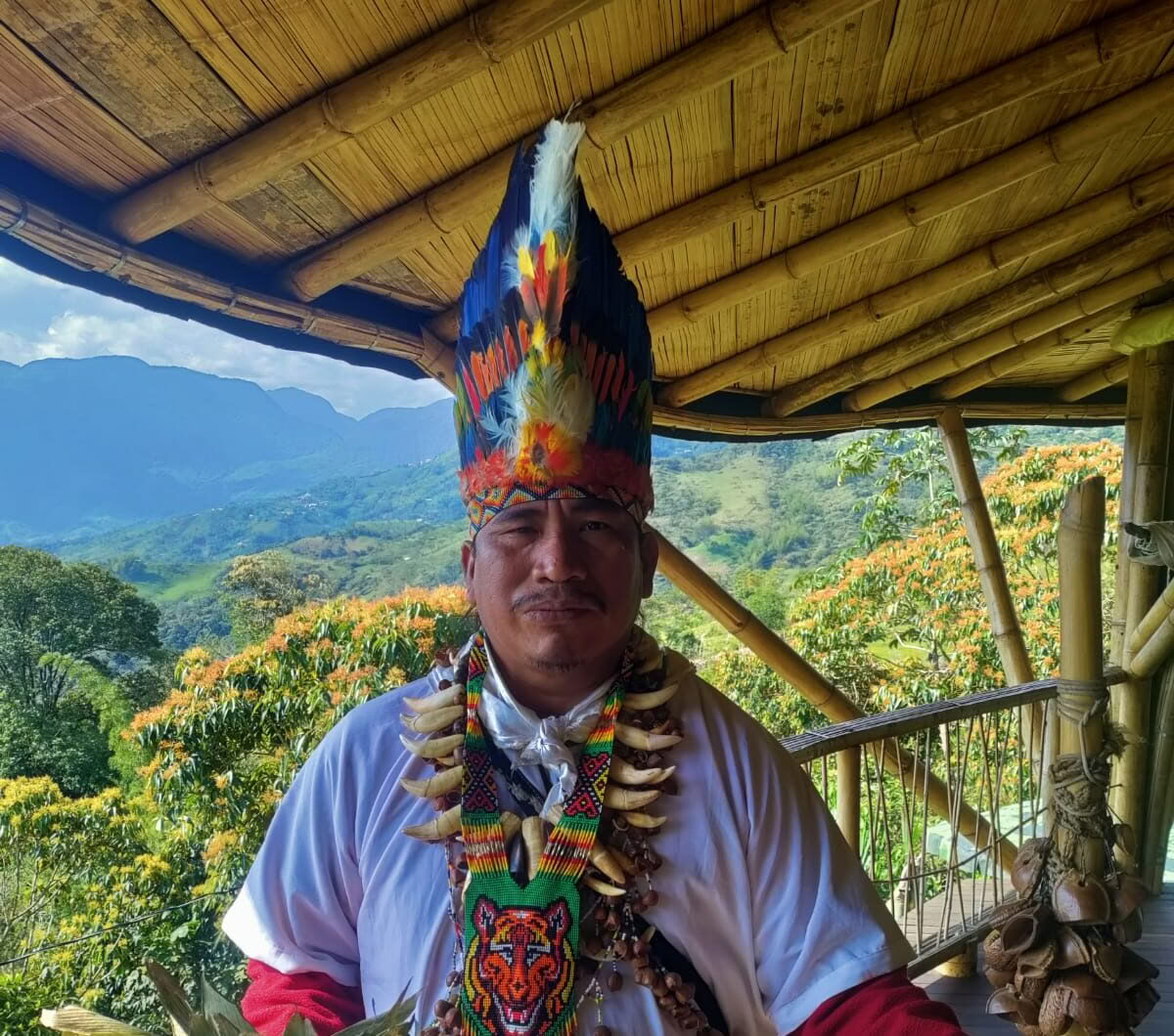 Ayahuasca & Voyage Somatique