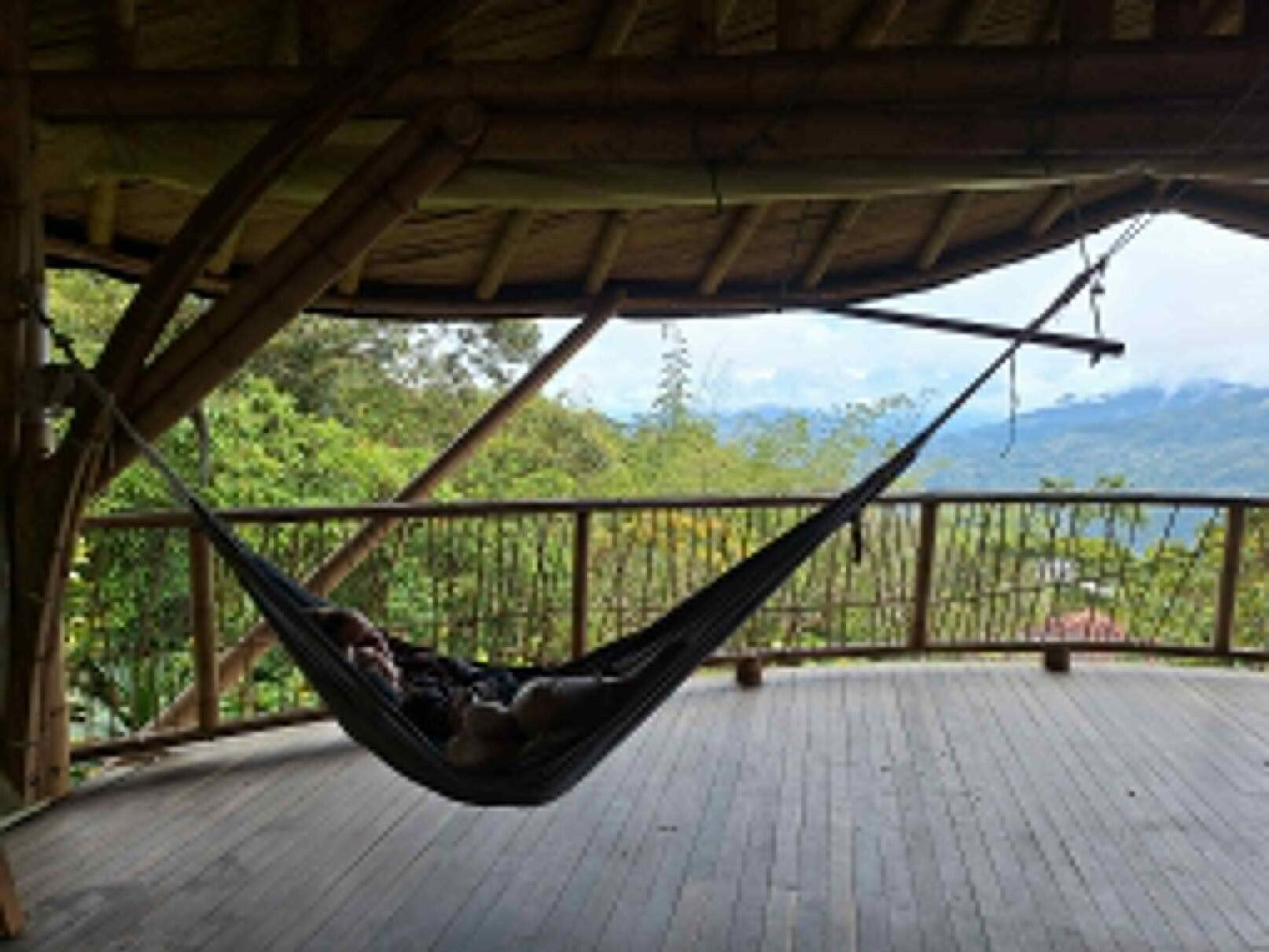 Ayahuasca & Voyage Somatique