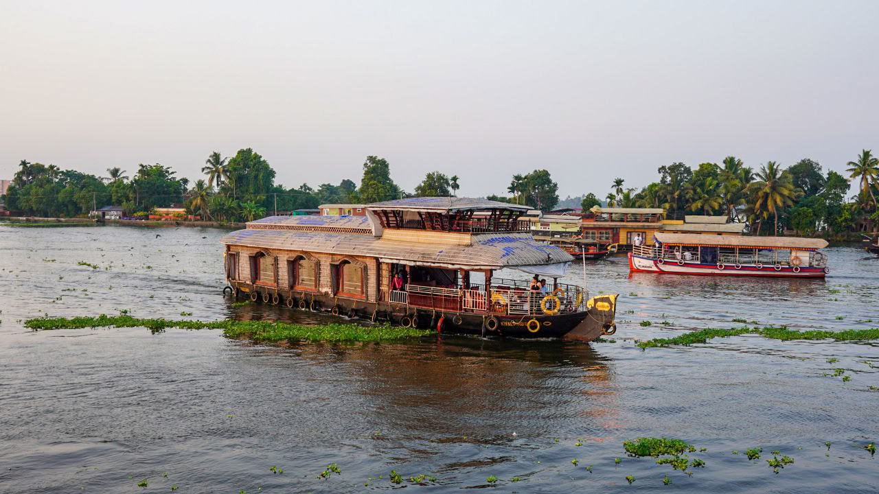 Détox ayurvédique ultime | Un voyage de guérison et de renouveau au Kerala