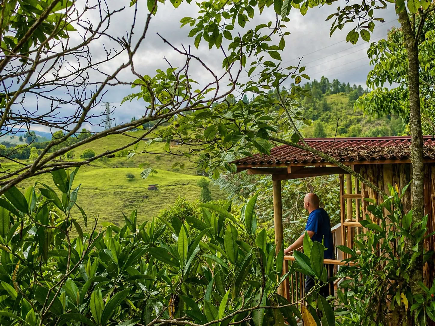 Retraite d’Ayahuasca d’Octobre 2026 à Medellín