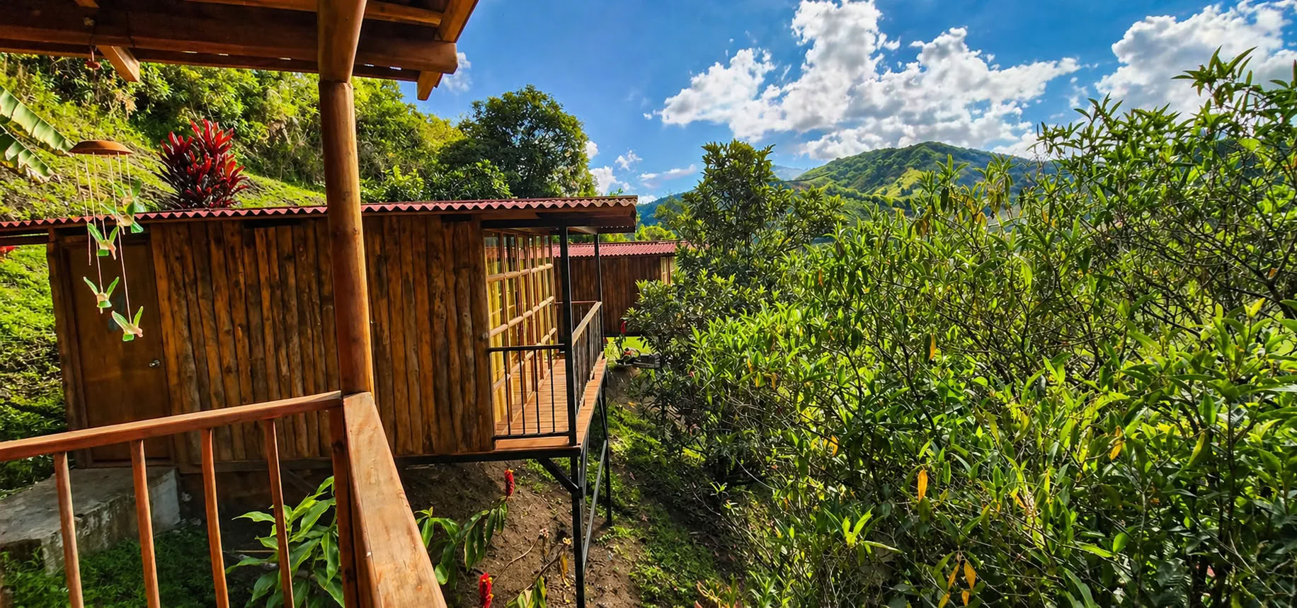 Retraite d’Ayahuasca de septembre 2026 à Medellín