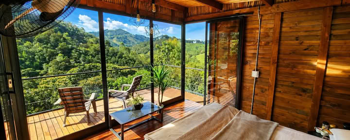 Retraite d’Ayahuasca de septembre 2026 à Medellín