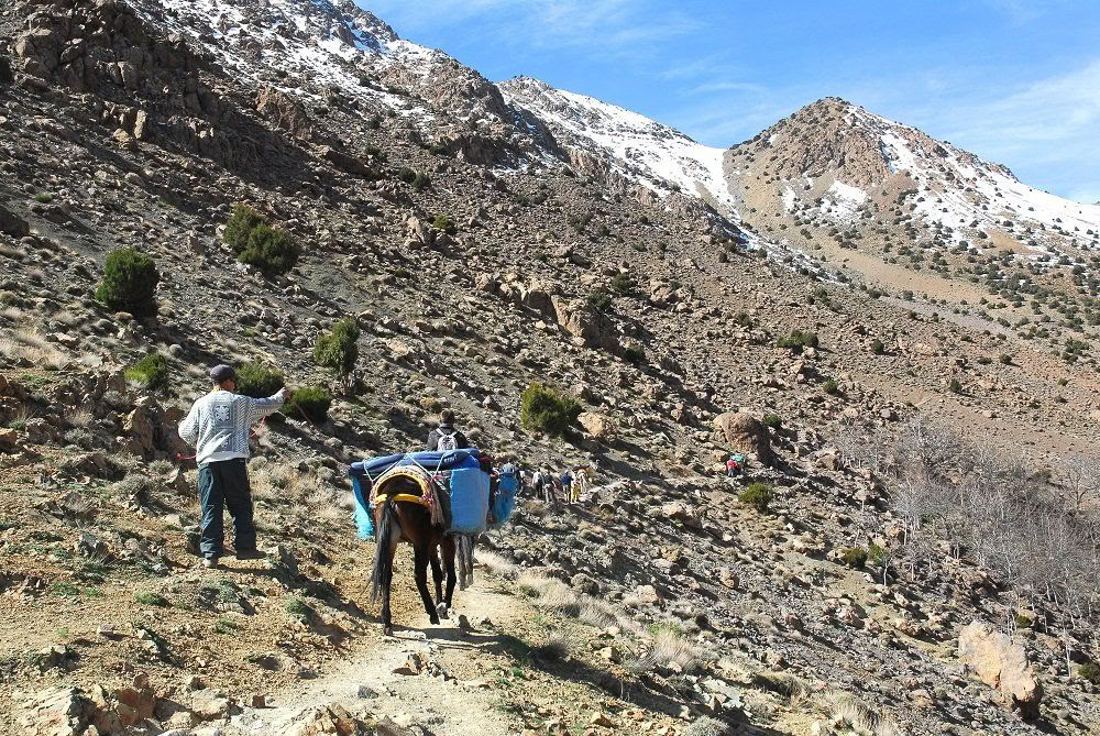 Retraite de yoga en montagne