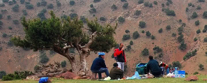 Retraite de yoga en montagne