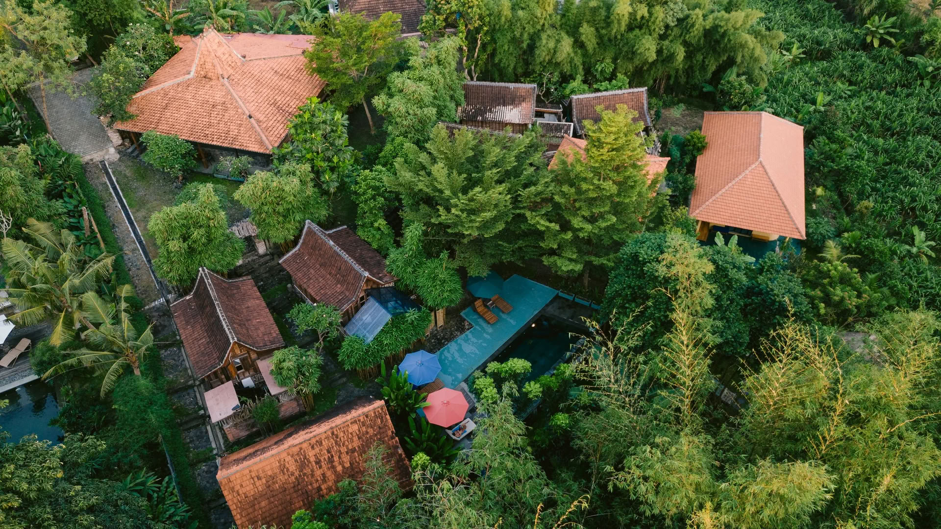 Retraite de yoga Ashtanga à Bali