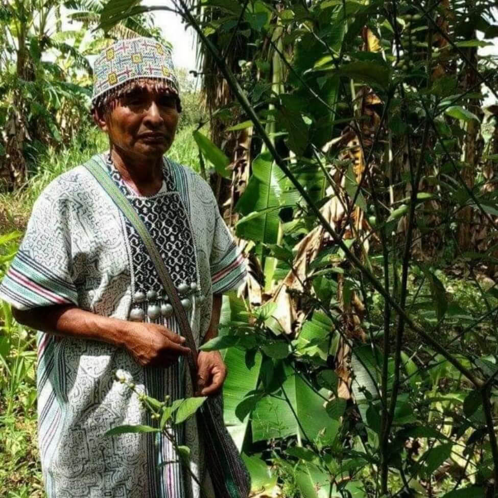 Retraite Ayahuasca au Pérou avec cérémonies ancestrales (5 jours)