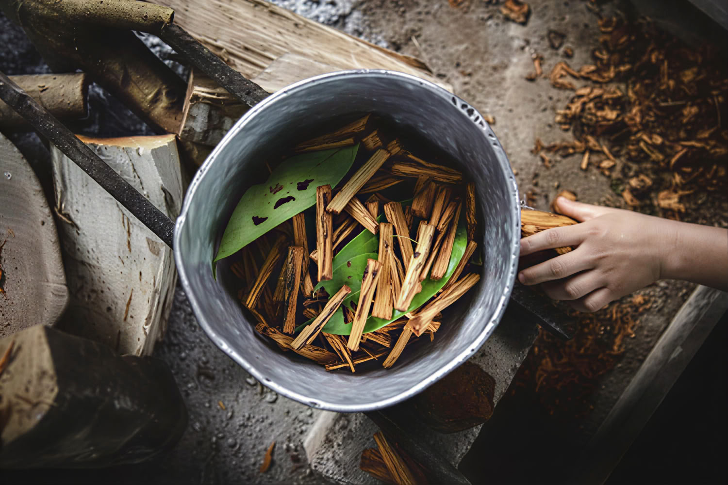 Retraite privée d’Ayahuasca avec rituels andins (3 jours) Retraite de cérémonie d’Ayahuasca avec rituels andins (privée, 3 jours) 2 séances d’Ayahuasca