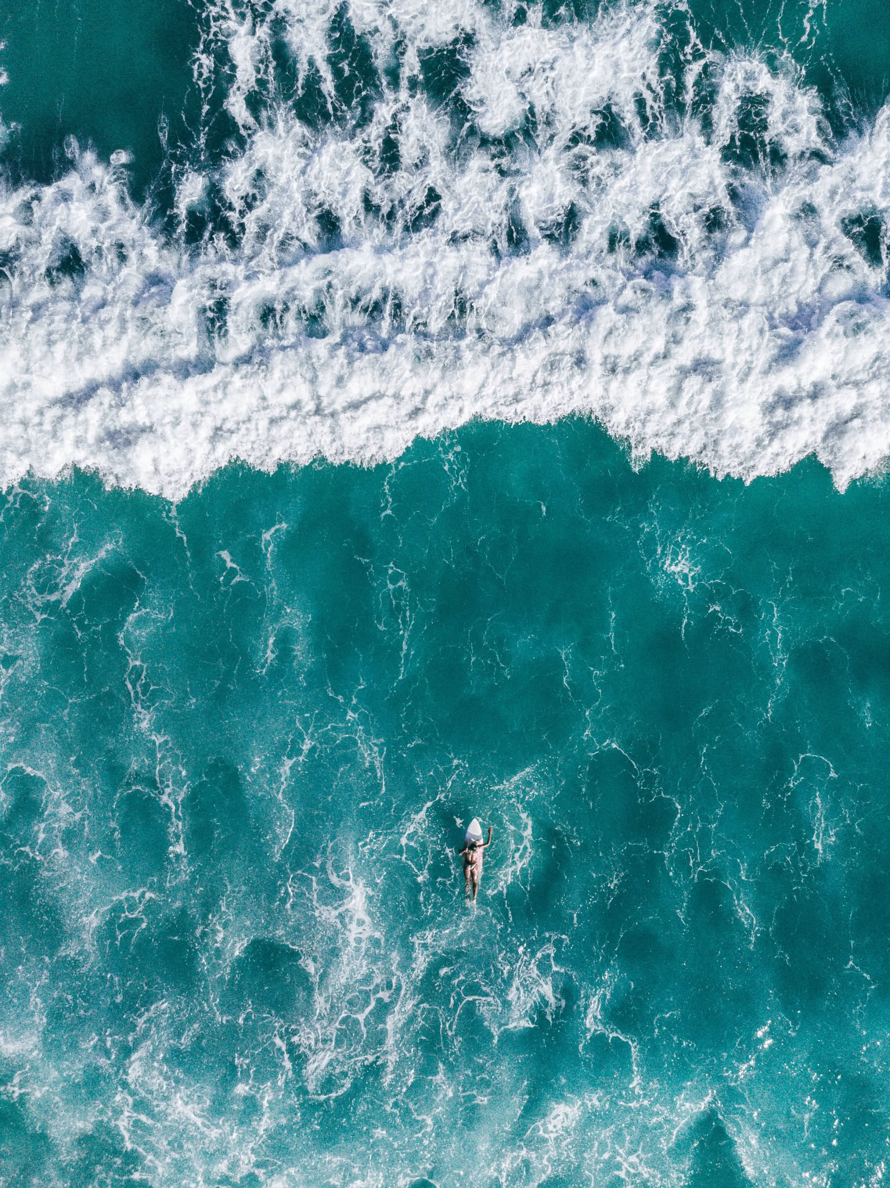 Surf et Fitness