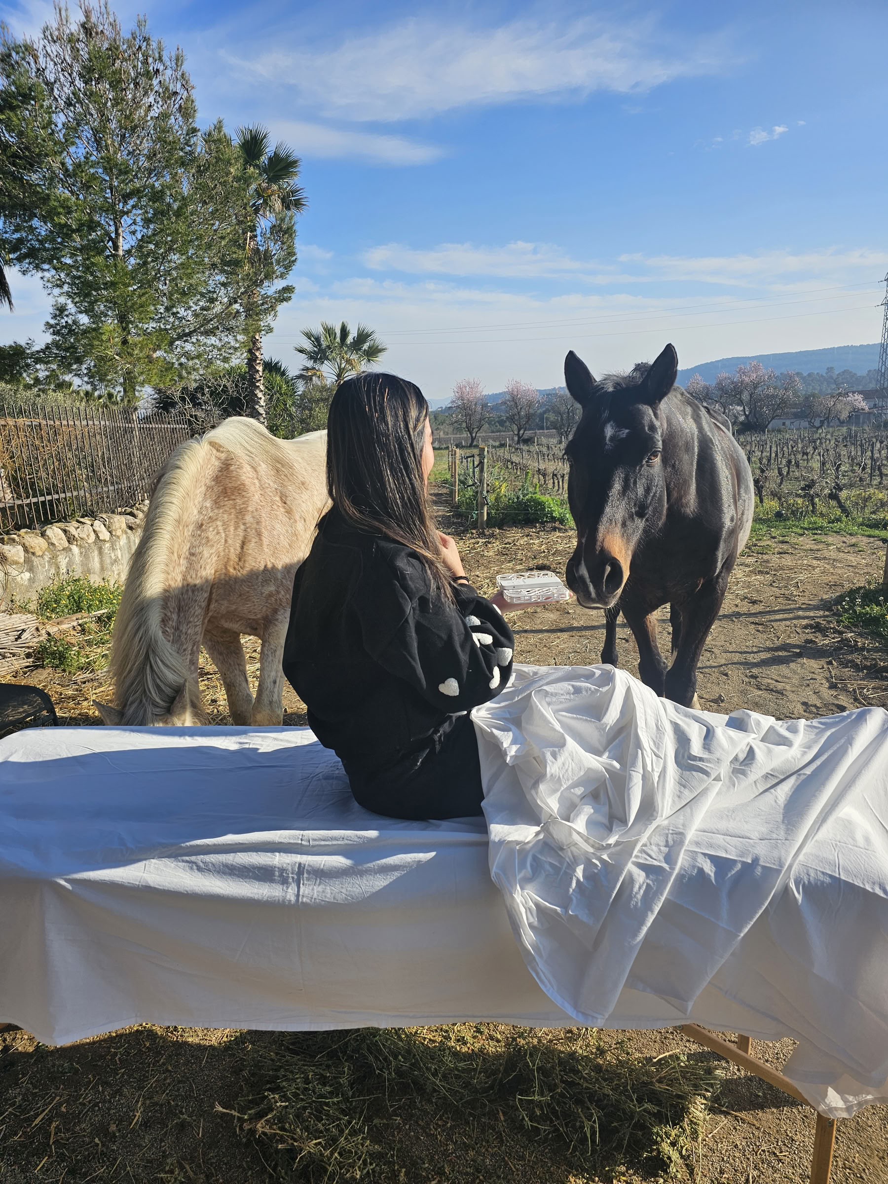 Yoga et guérison avec les chevaux : retraite de 5 jours