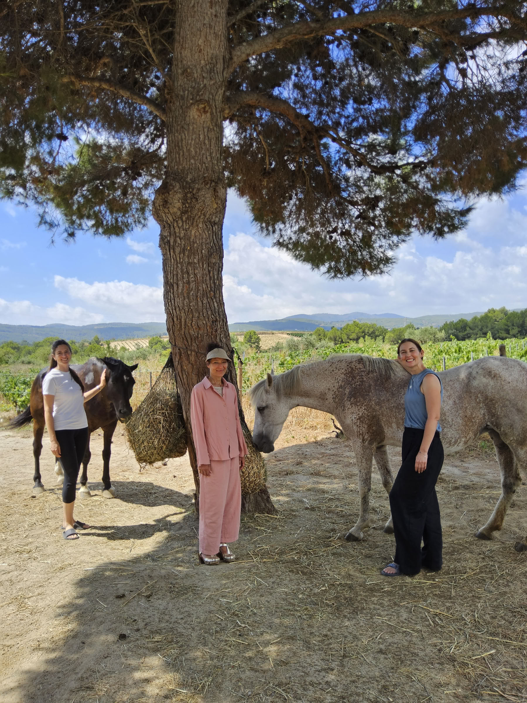 Yoga et guérison avec les chevaux : retraite de 5 jours