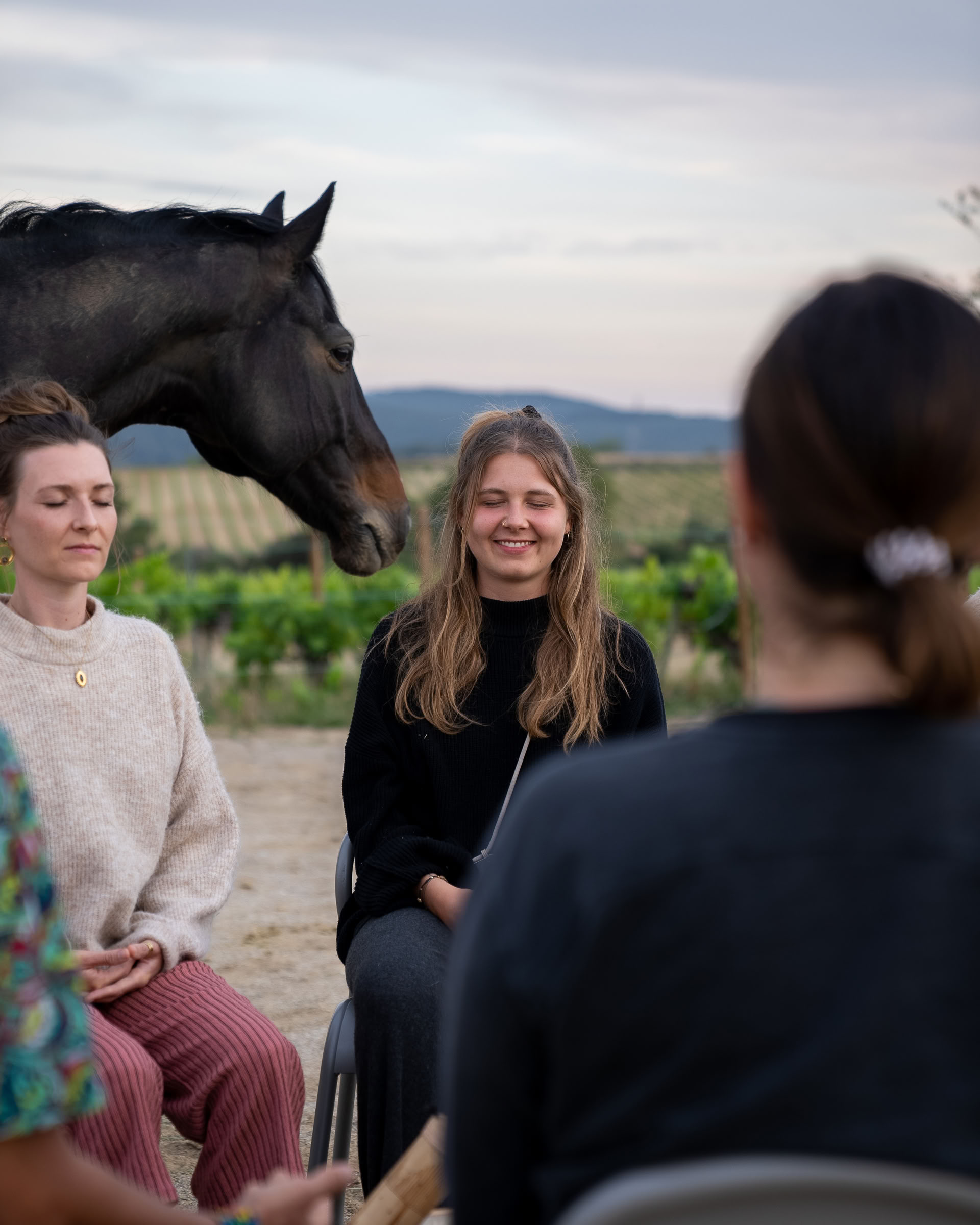 Yoga & guérison avec les chevaux