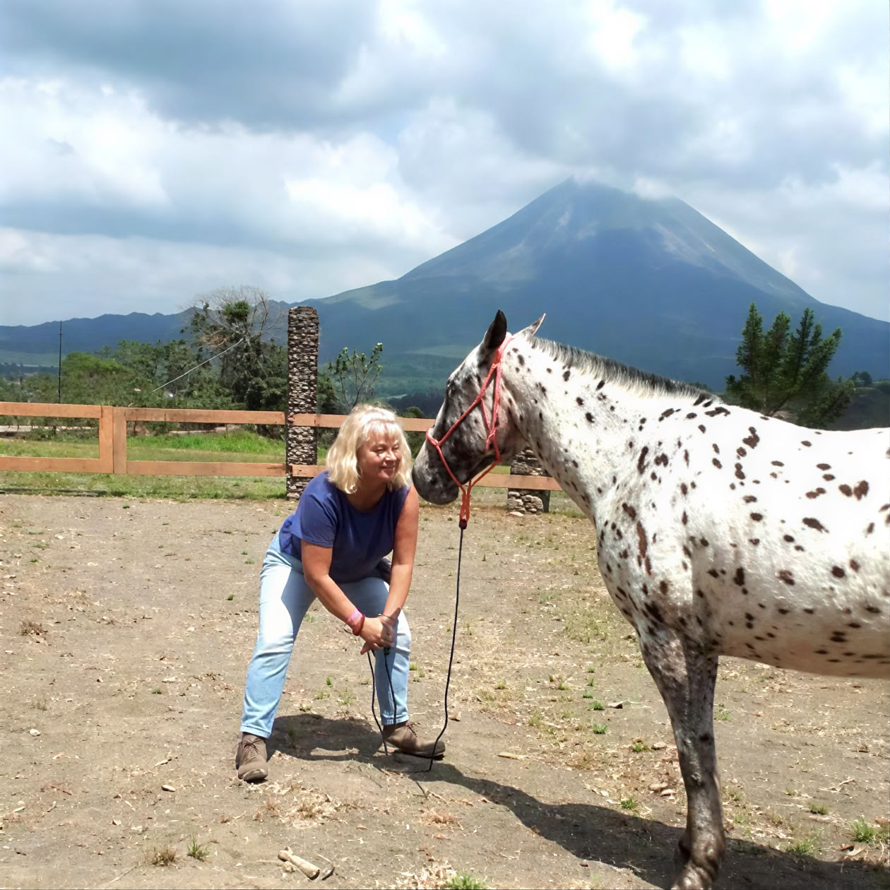 Yoga & guérison avec les chevaux