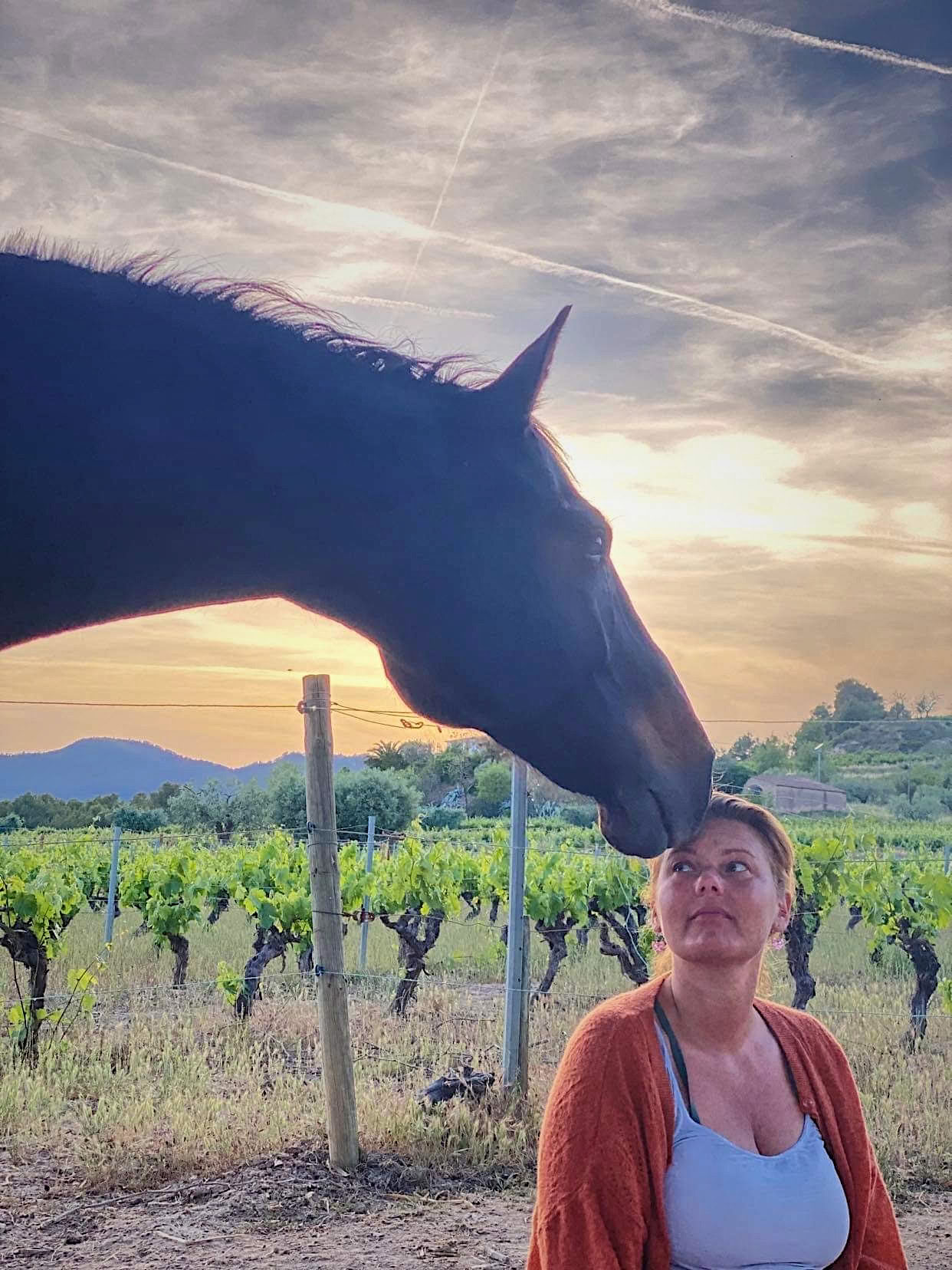 Yoga & guérison avec les chevaux