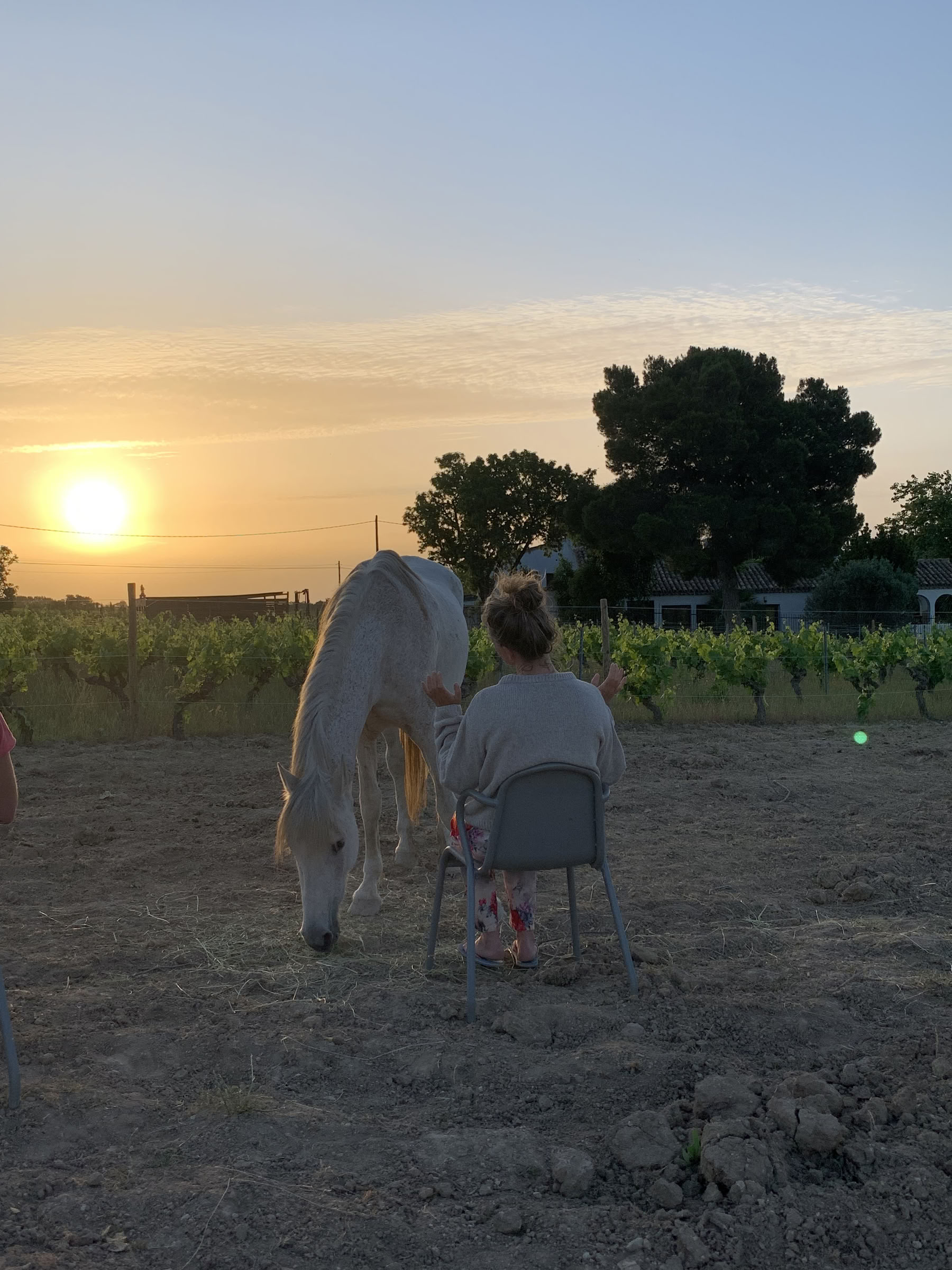 Yoga & guérison avec les chevaux
