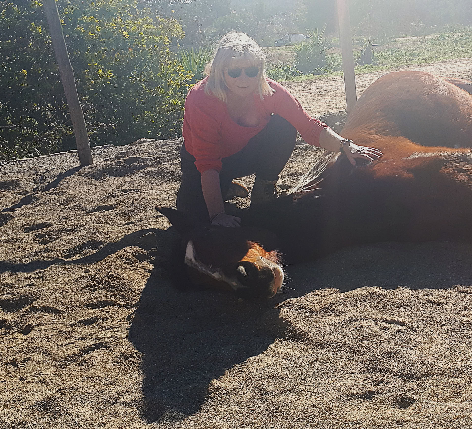 Yoga & guérison avec les chevaux