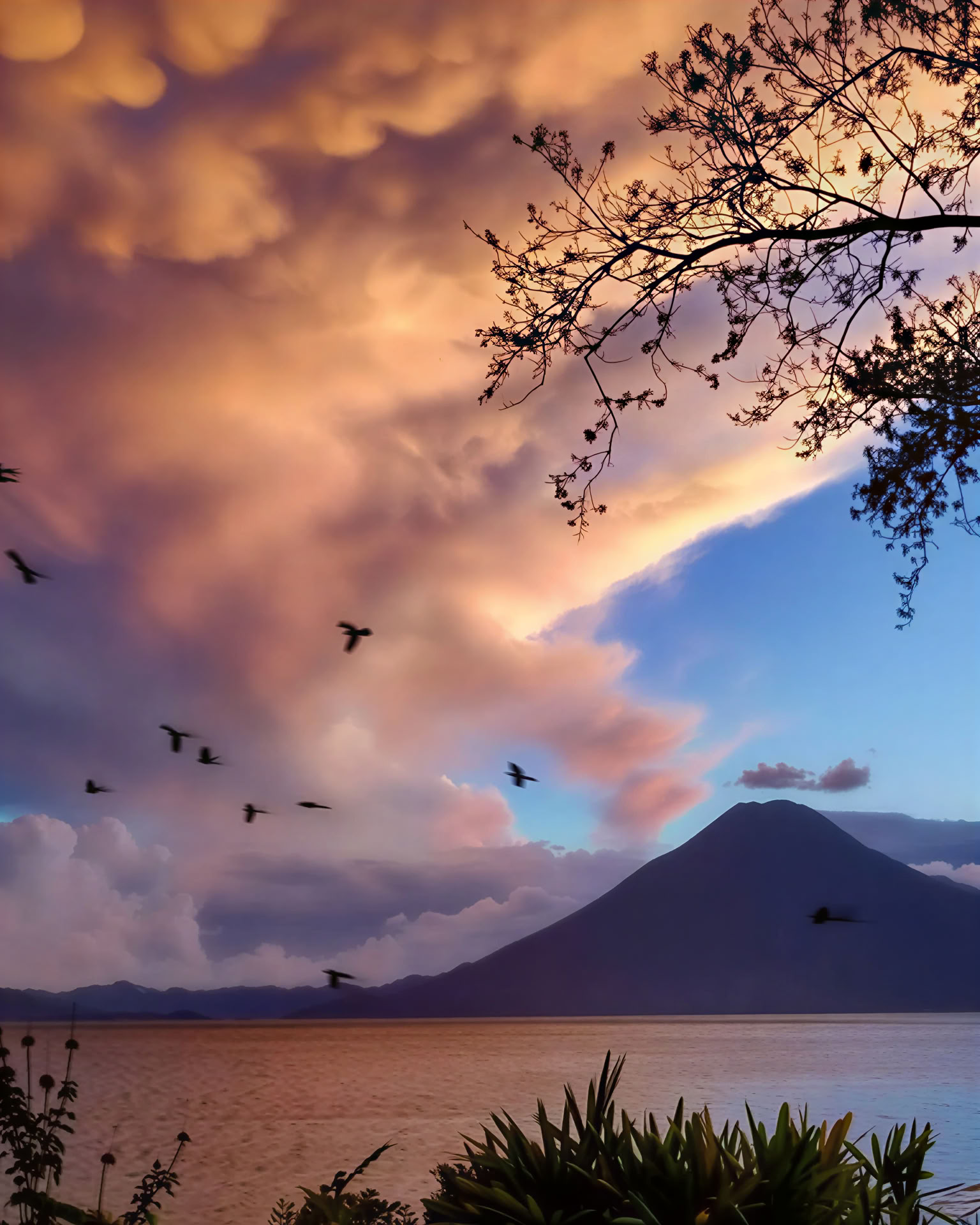 Heart of the Earth : retraite de yoga et nature