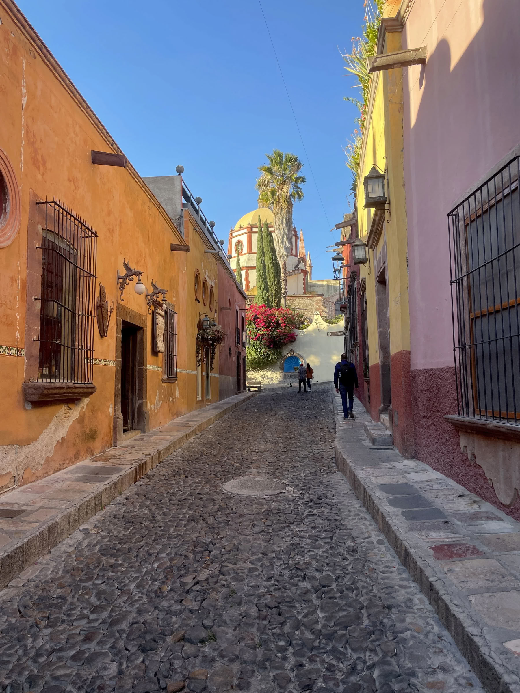 Traverse Mexico : retraite de yoga et culinaire