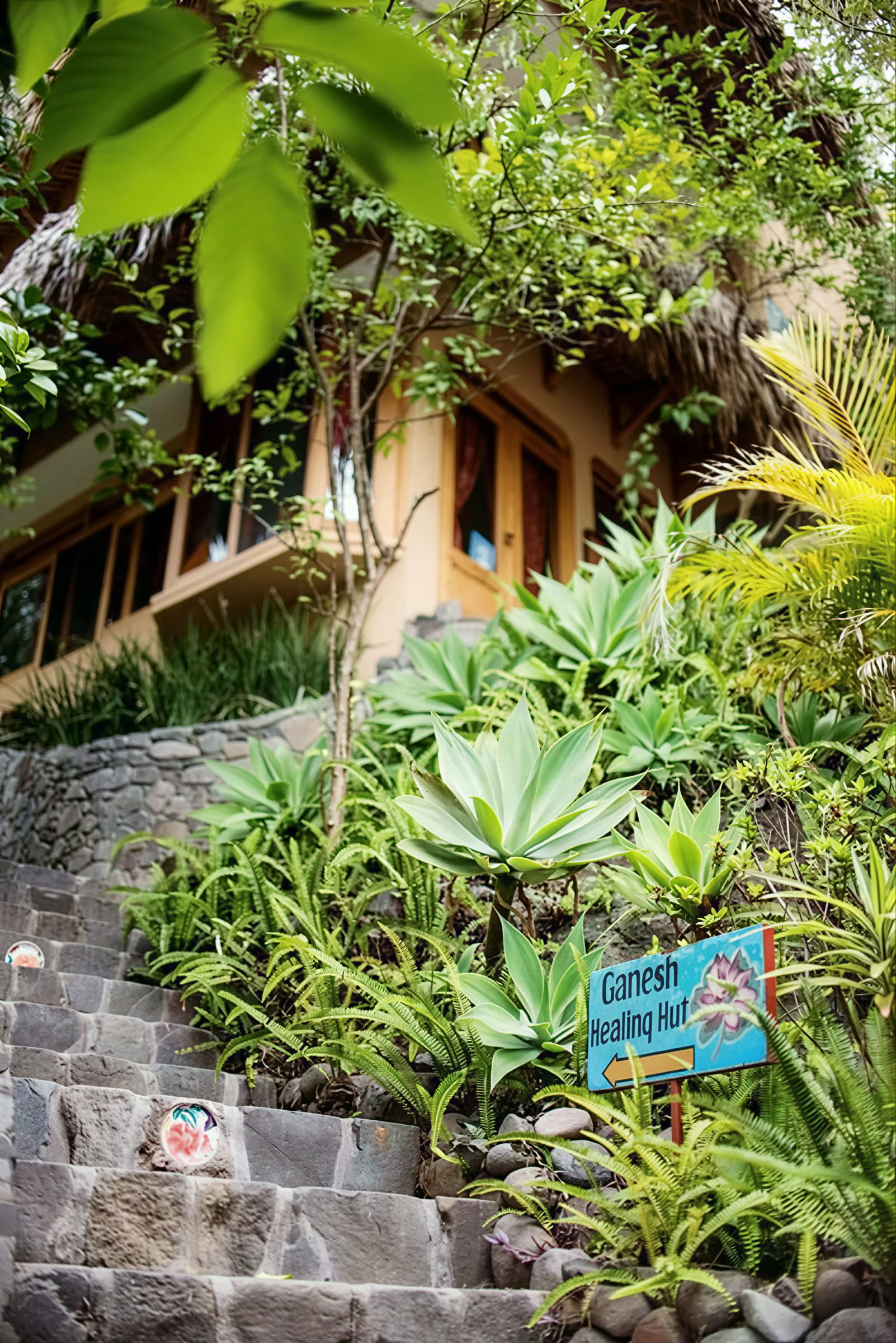 Retraite de yoga au Guatemala de 6 jours – 1er-6 septembre 2026 avec Michelle Fajkus