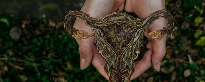 Wisdom Rising | Immersion au psilocybine et à la périménopause pour femmes - Liste d’attente uniquement, dates à confirmer