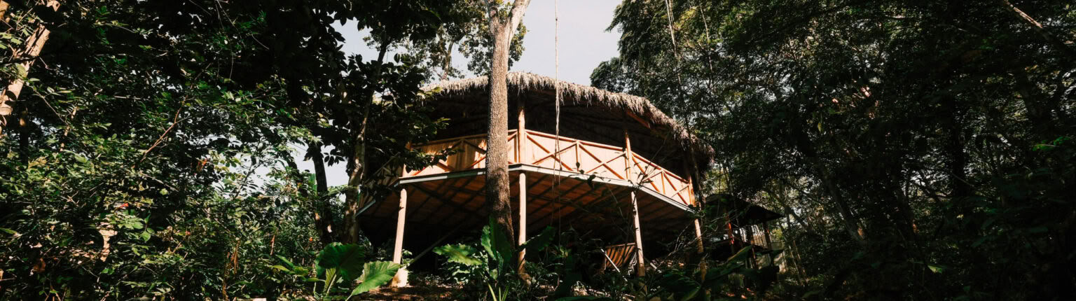 Embodied Sovereignty | Une retraite San Pedro réservée aux femmes