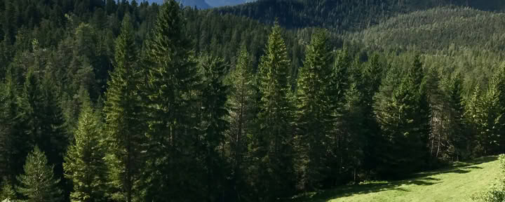 Yoga & Randonnée dans les Alpes autrichiennes