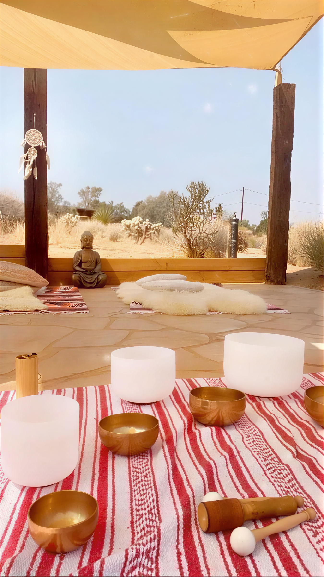 Retraite d'une journée Desert Om à Joshua Tree