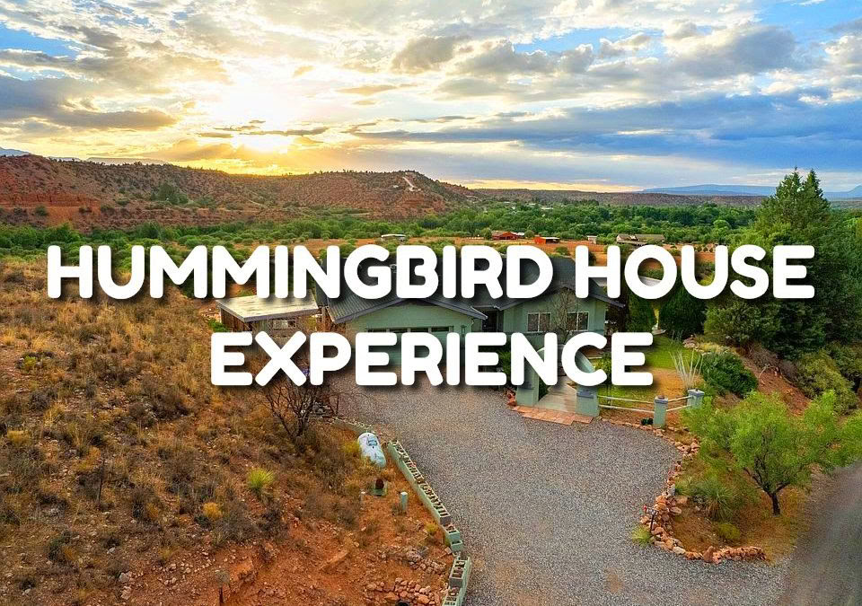Expérience Hummingbird House