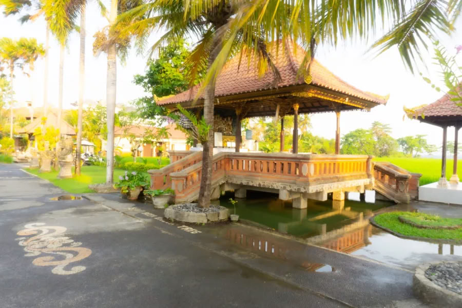 Cours de formation de professeur de yoga de 200 heures à Bali