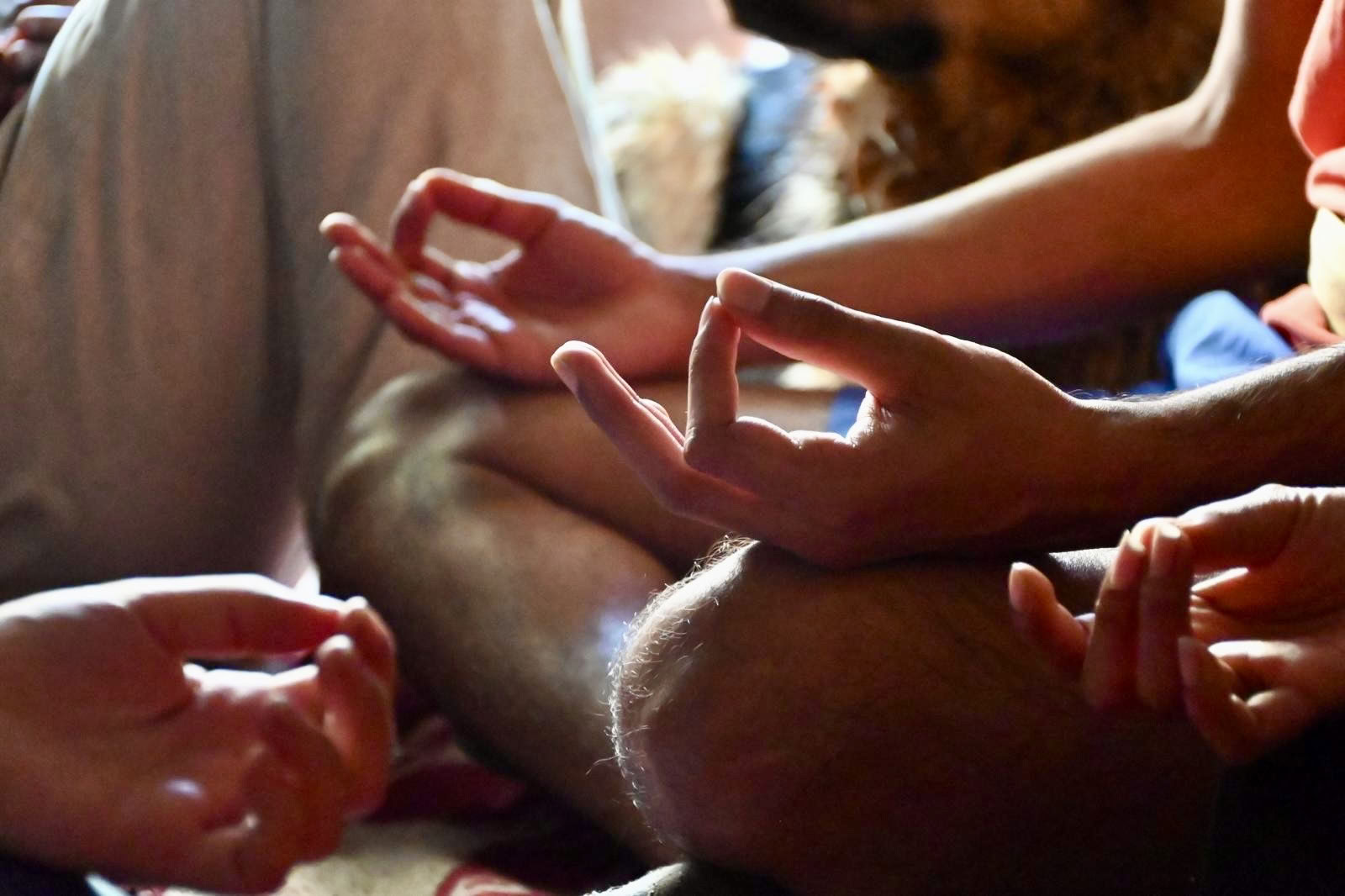 SHUNYATA : programme d’éveil silencieux de 11 jours.