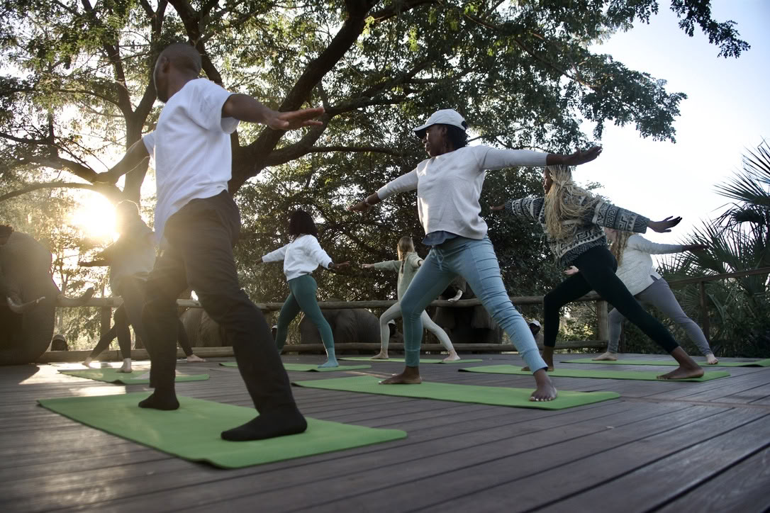 Yoga Avec Les Éléphants