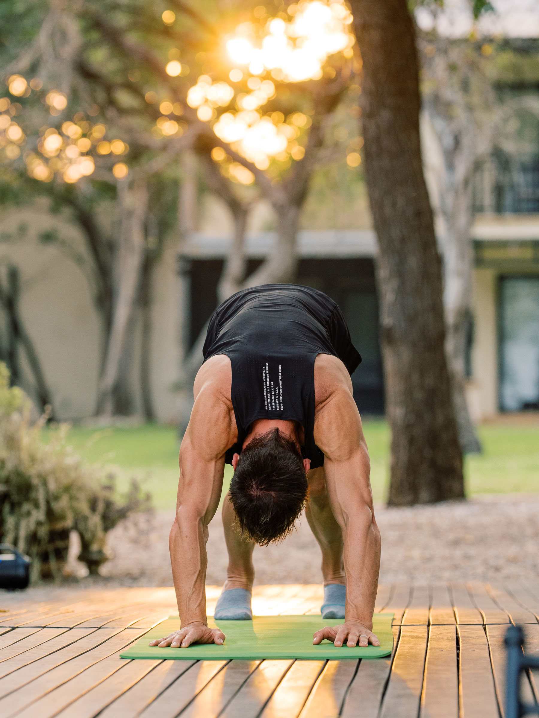 Yoga Avec Les Éléphants