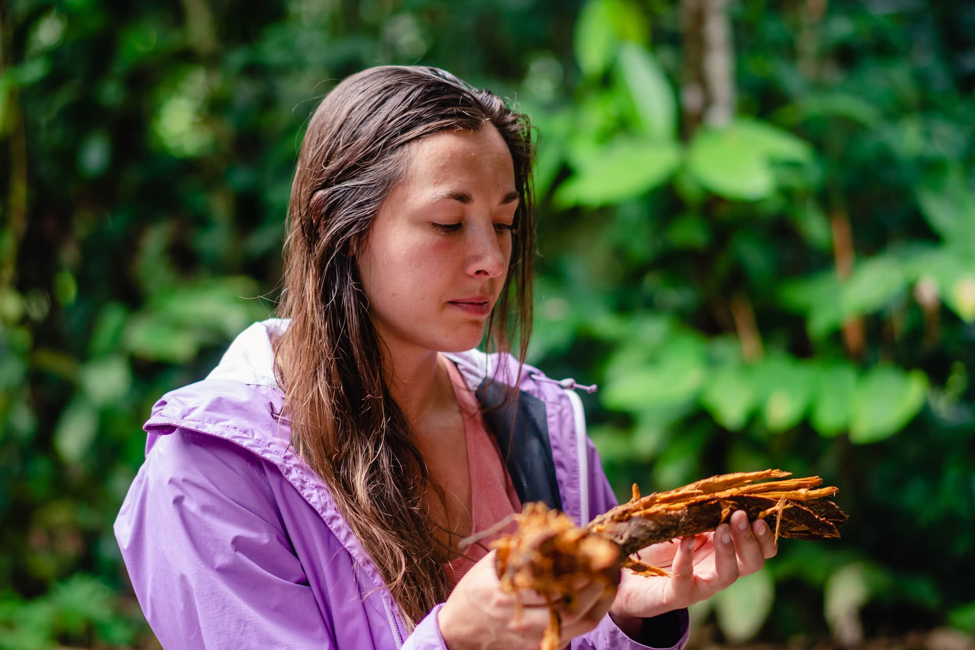 Retraite de renouveau rayonnant à l'ayahuasca juillet 2026 (12 jours)