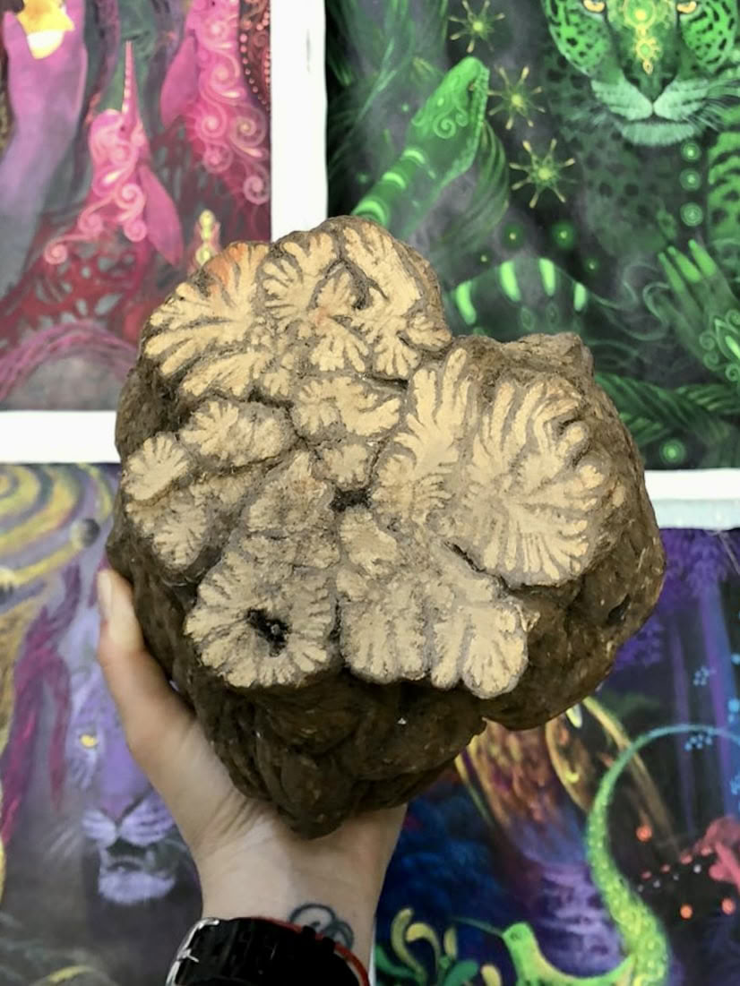 Master Plants Retraite July 2026 (12-Day)