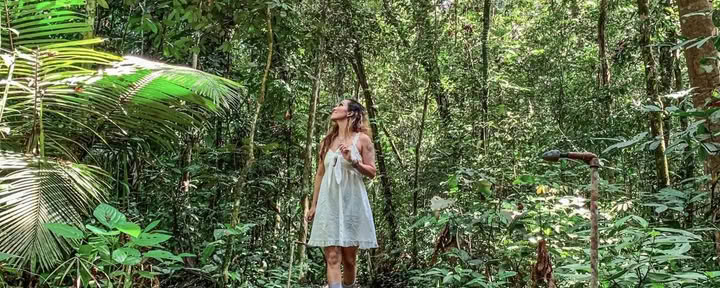 Retraite Harmonie Éveil Ayahuasca Décembre 2026 (12 jours)