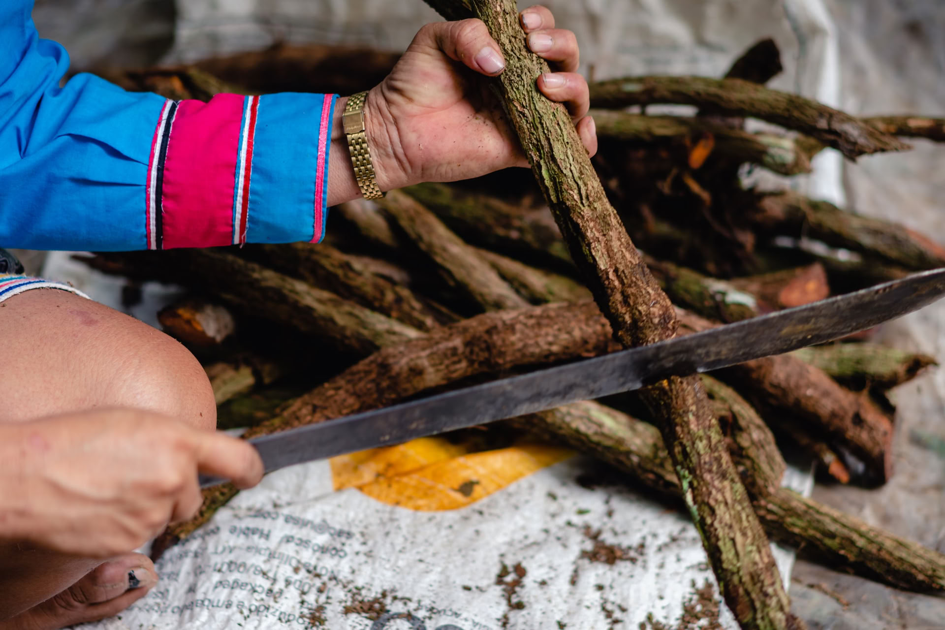 Retraite de renouveau Ayahuasca août 2026 (12 jours)