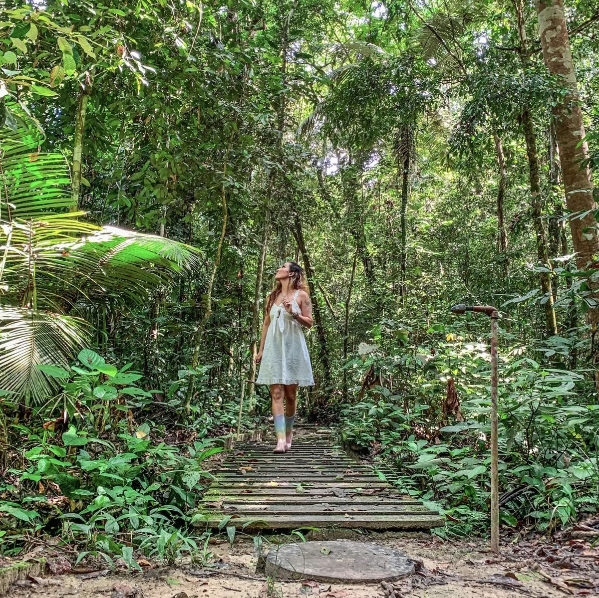 Retraite de transformation à l’Ayahuasca d’octobre 2026 (8 jours)