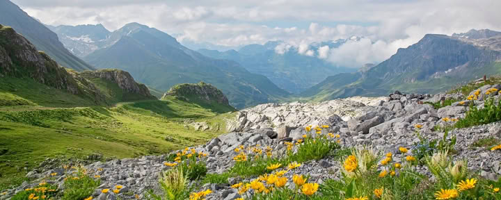 Trek de la Vallée des Fleurs