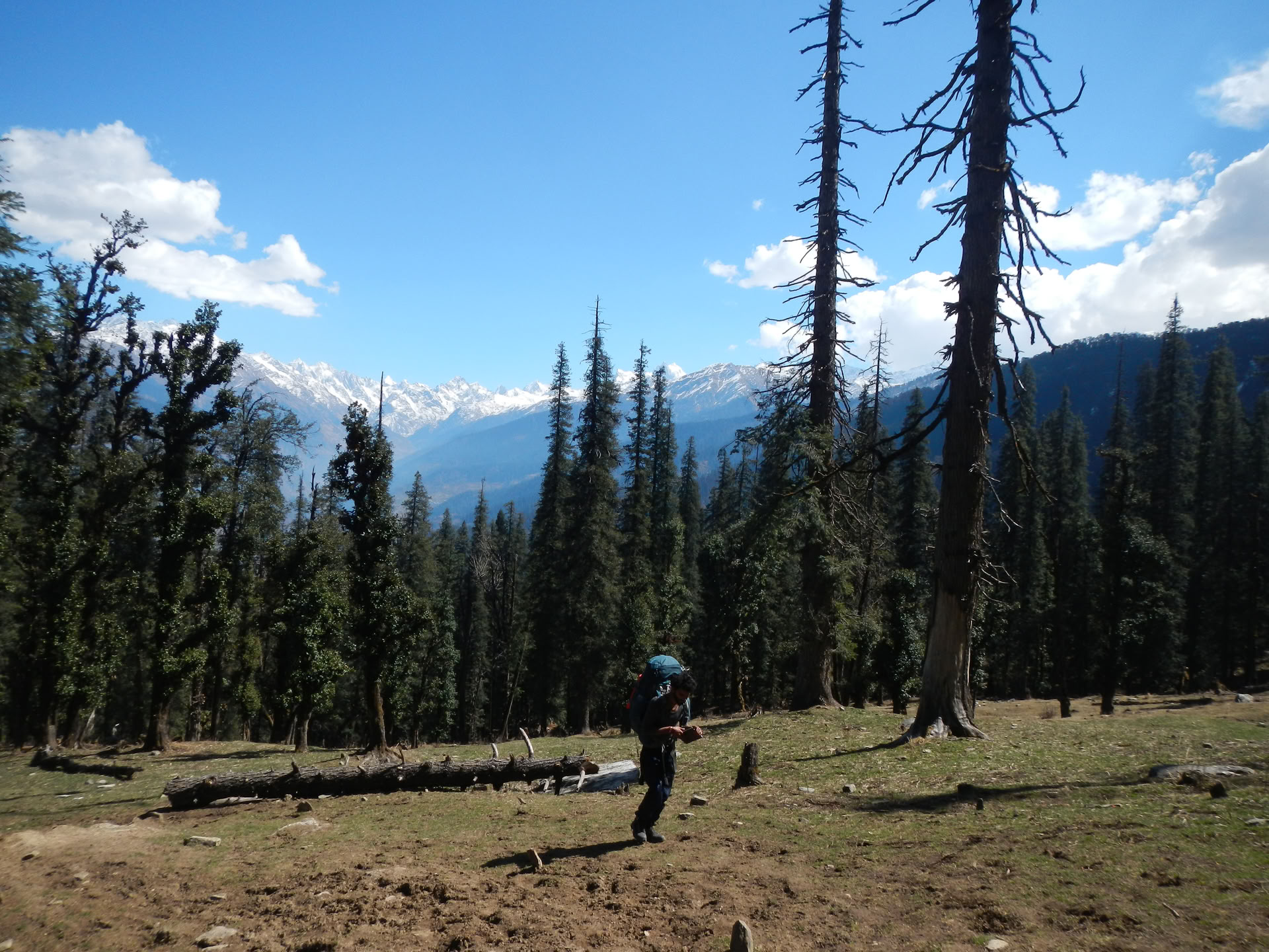 Trek de Kedarkantha