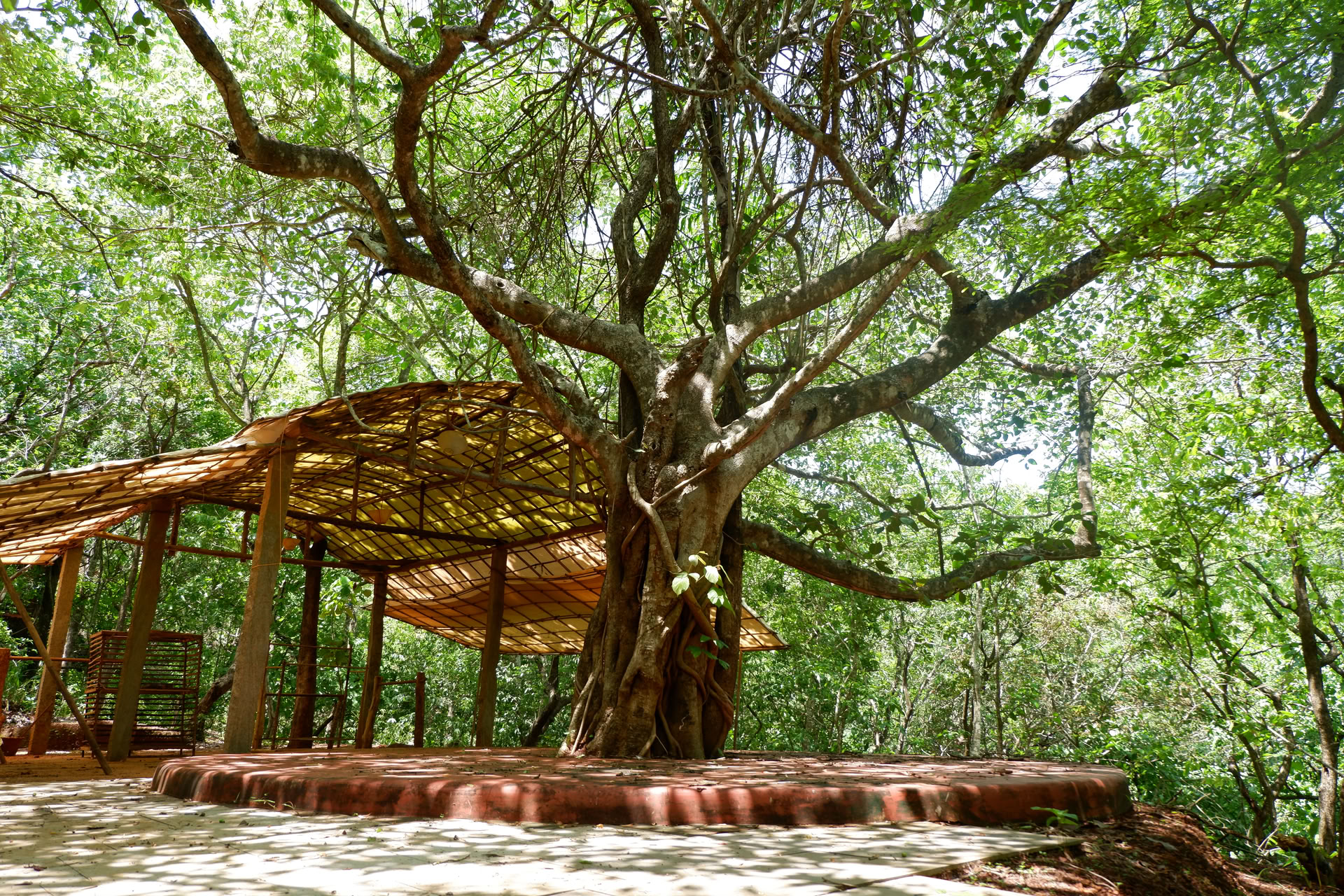 Saundarya Yoga Retraite