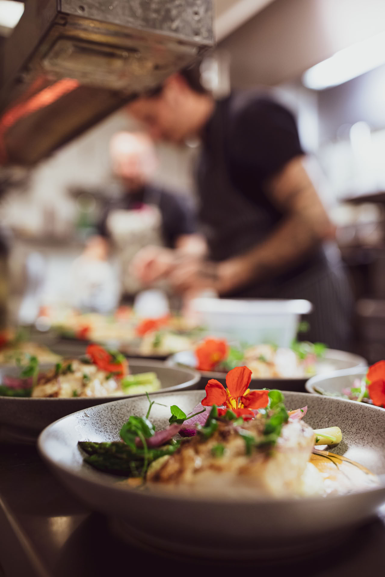 Business Vision Quest aux Lofoten