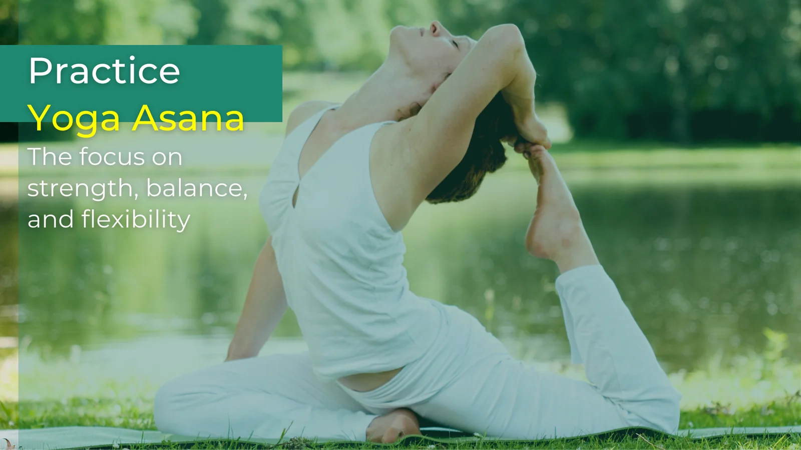 Retraite de yoga aux Pays-Bas : 3 jours de bonheur