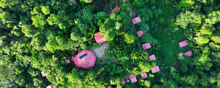 Retraite Ayahuasca Pucallpa