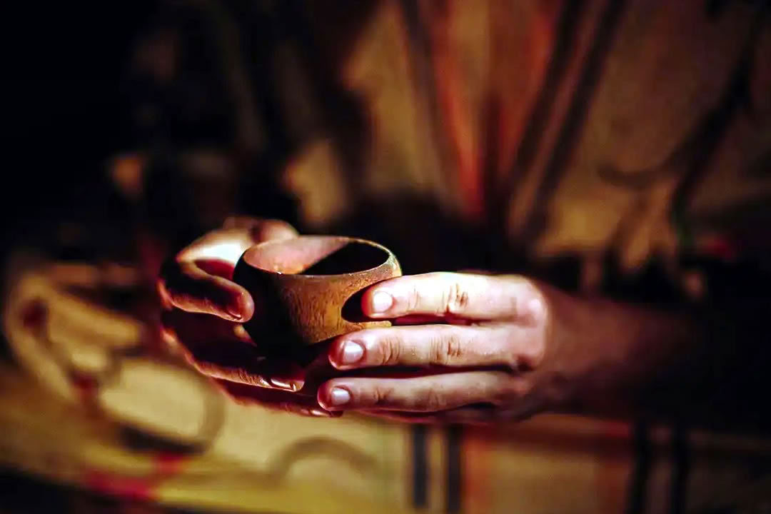 Retraite Ayahuasca pour les gays et LGBTQ
