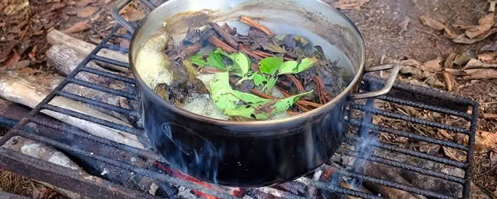 5 jours Retraite Ayahuasca Iquitos-Peru