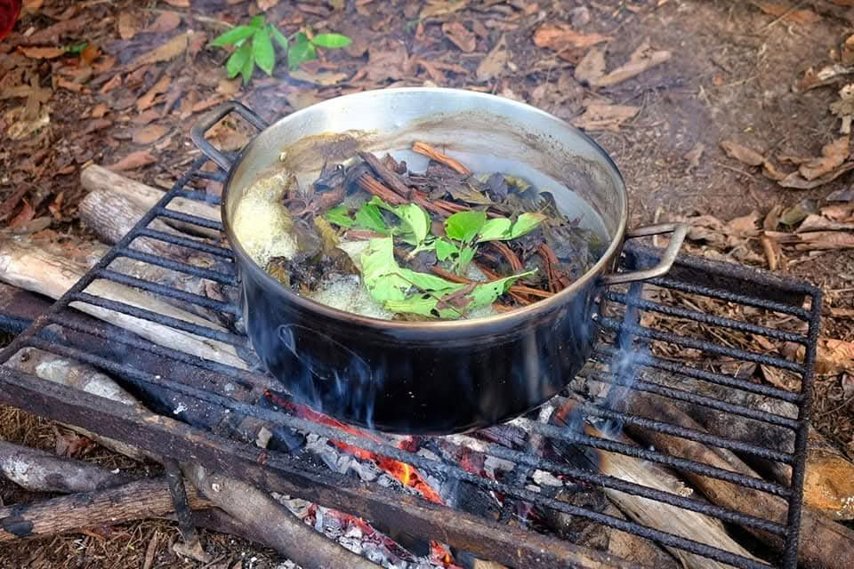 12 jours Retraite Ayahuasca Pérou à Selva Madre