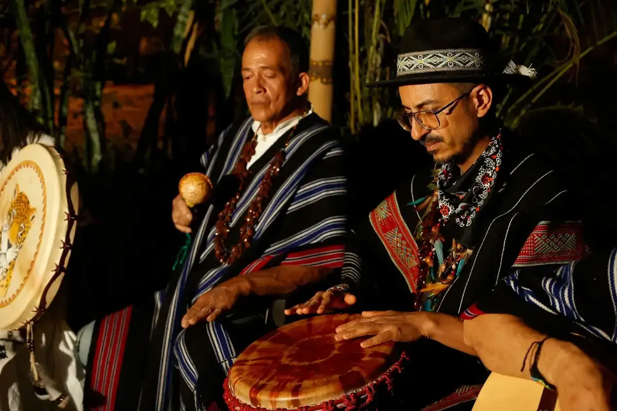 Retraite traditionnelle d'Ayahuasca en Autriche 3 jours